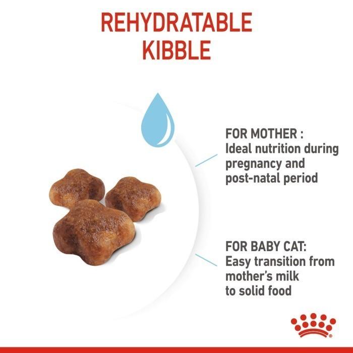 Jual ROYAL CANIN MOTHER BABYCAT (400G) DRY MOTHER BABYCAT