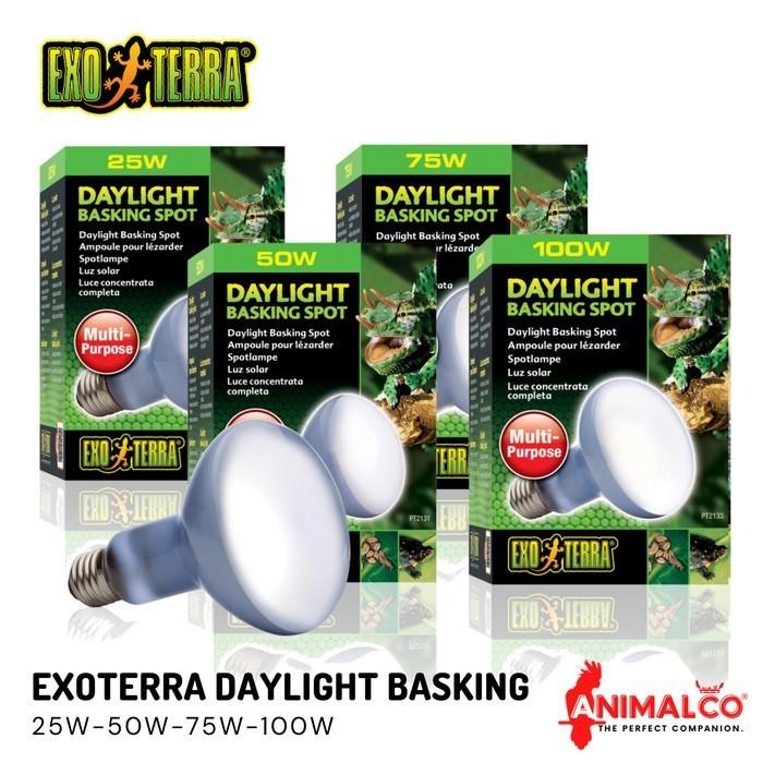 Gambar LAMPU UVA EXOTERRA BASKING DAYLIGHT PENGHANGAT REPTIL KURA IGUANA ULAR - 100W dari Animal Co undefined Tokopedia