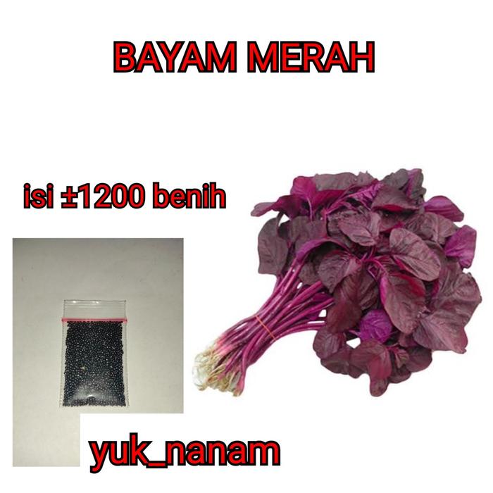 Gambar PART1 Termurah Aneka Bibit sayur benih sayuran seribuan hidroponik sawi pokcoy bayam tomat cabai terong bayam kangkung timun selada - lobak merah dari Rchshop8 undefined 2 Tokopedia