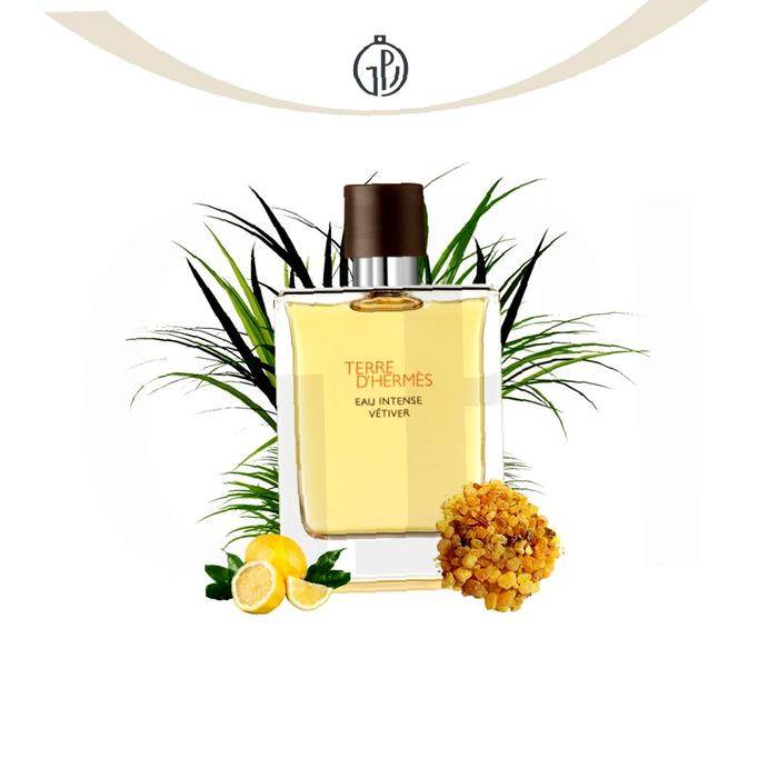 Parfum Original Hermes Terre D Hermes Eau Intense Vetiver For Men Edp 200  Ml Nigvs