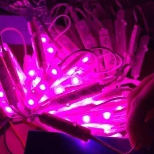 Gambar Samsung LED Modul Bak SASO IP68 5730 smd Dc 3 Titik Neon Box 12V 1.5W - Pink dari Pusat Pajada undefined Tokopedia