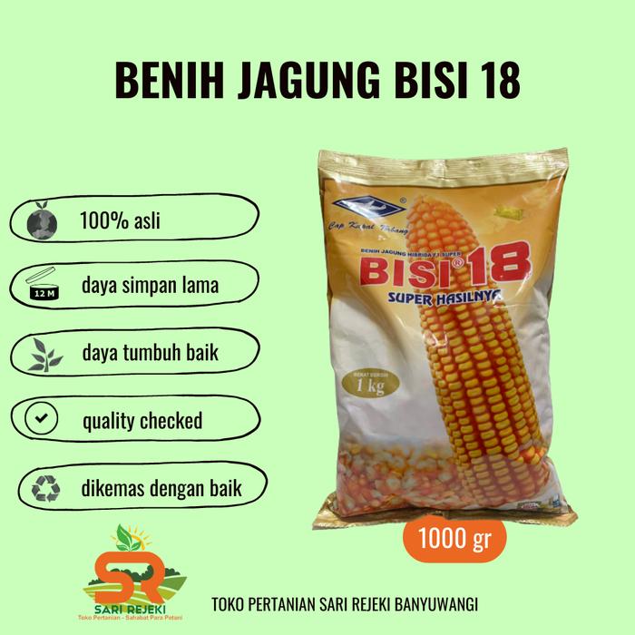 Gambar BENIH JAGUNG BISI 18 kemasan 1KG dari AGRO SARI REJEKI BANYUWANGI undefined Tokopedia