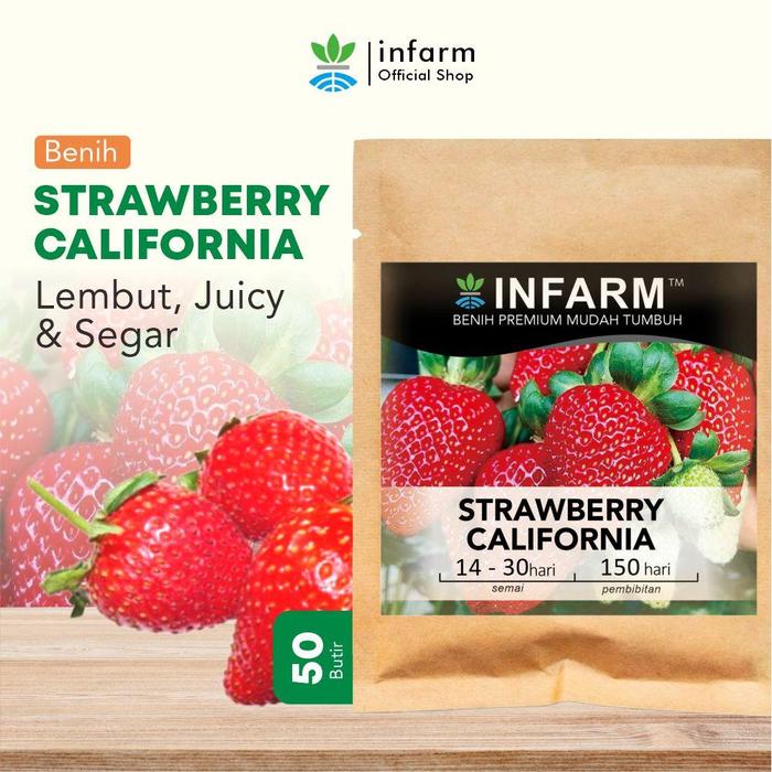 Gambar INFARM - Benih Unggul Infarm Buah Strawberry Tanaman Buah Strawberry California isi 50 butir Benih Buah Daging Tebal Mudah Tumbuh dan Berkecambah Benih Biji Buah Buahan Segar Manis Hasil Panen Melimpah Ruah Stroberi Segar - Strawberry California dari Infarm undefined Tokopedia