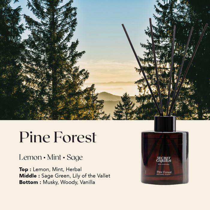 Gambar Secret Garden Aroma Reed Diffuser 140ml - Pine Forest - Pine Forest dari suhab617 undefined Tokopedia