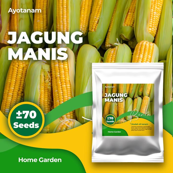 Gambar AYOTANAM Benih Jagung Manis isi ± 70 Benih dari ayotanam_NEW undefined Tokopedia