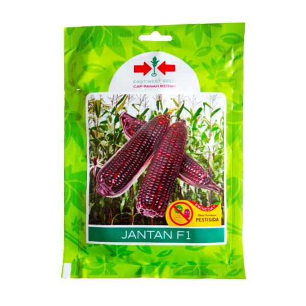 Gambar Benih Bibit Jagung Pulut Ketan Ungu Jantan F1 200 Biji Panah Merah dari Bibit Bunga undefined Tokopedia