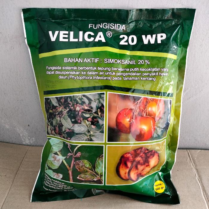 Gambar Fungisida Sistemik Velica 20 WP 500 Gram Simoksanil Untuk Mengendalikan Busuk Akar Batang Daun Dan Buah - -, - dari Putratani06 undefined Tokopedia