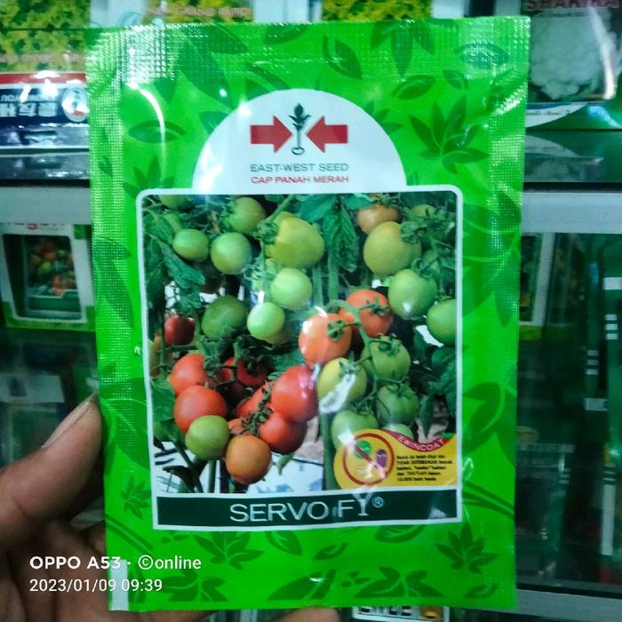Gambar benih tomat servo f1 original isi 1750 butir - -, - dari Kebons Tani Kediri undefined Tokopedia