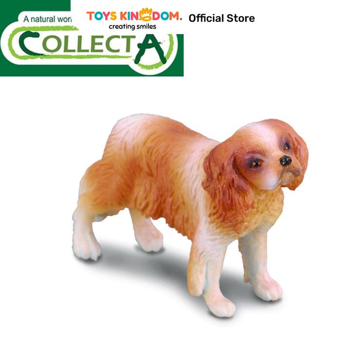 Gambar COLLECTA FIGURE CAVALIER KING CHARLES SPANIEL 88181 dari Toys Kingdom ID undefined Tokopedia