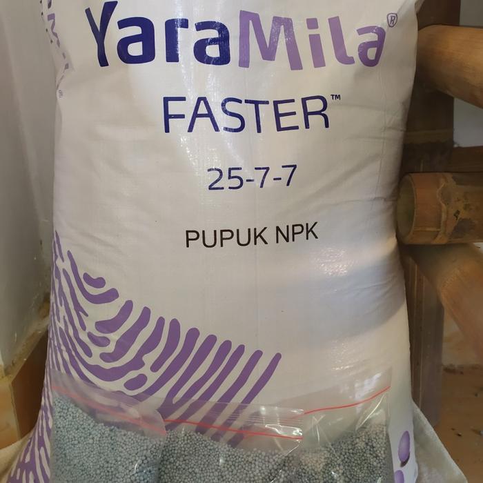 Gambar PUPUK NPK PERTUMBUHAN YARAMILA FASTER 25 7 7 REPACK 500 GRAM dari Toko Pertanian Sedulur Tani undefined Tokopedia