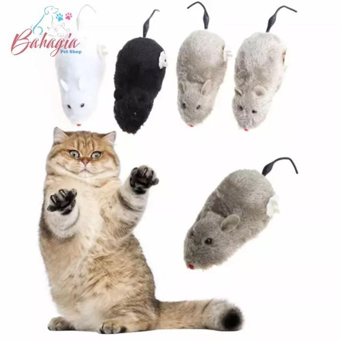 Gambar MAINAN KUCING BENTUK TIKUS BISA BERGERAK-MAINAN KUCING dari Bahagiapetshop undefined Tokopedia