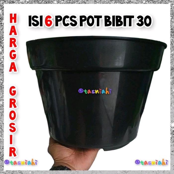 Gambar (6 pcs) Harga Grosir Pot Kopeng 30 isi 6 pcs - Bibit 30 Putih isi 6 pcs dari Grosir Pot Klaten undefined Tokopedia