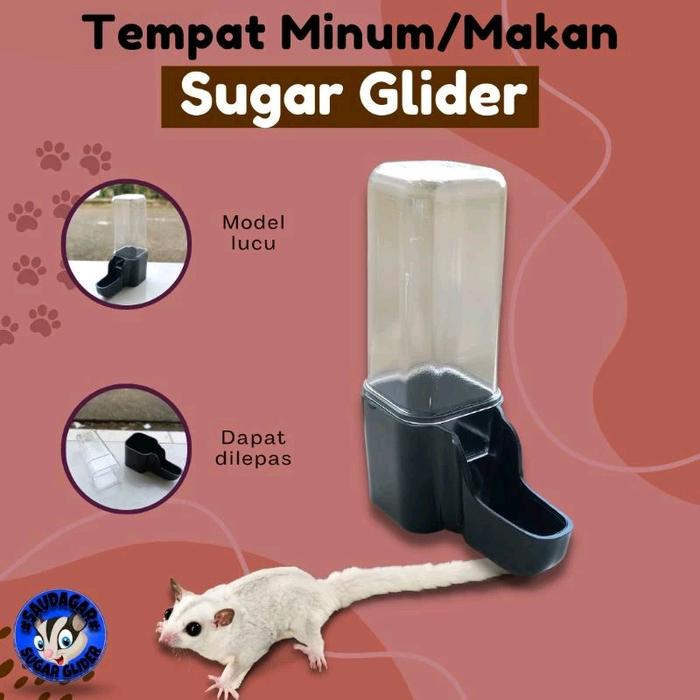 Gambar tempat minum dan makan hewan kecil Sugar Glider/burung/hamster/landak mini - Kecil dari SaudagarSG undefined Tokopedia