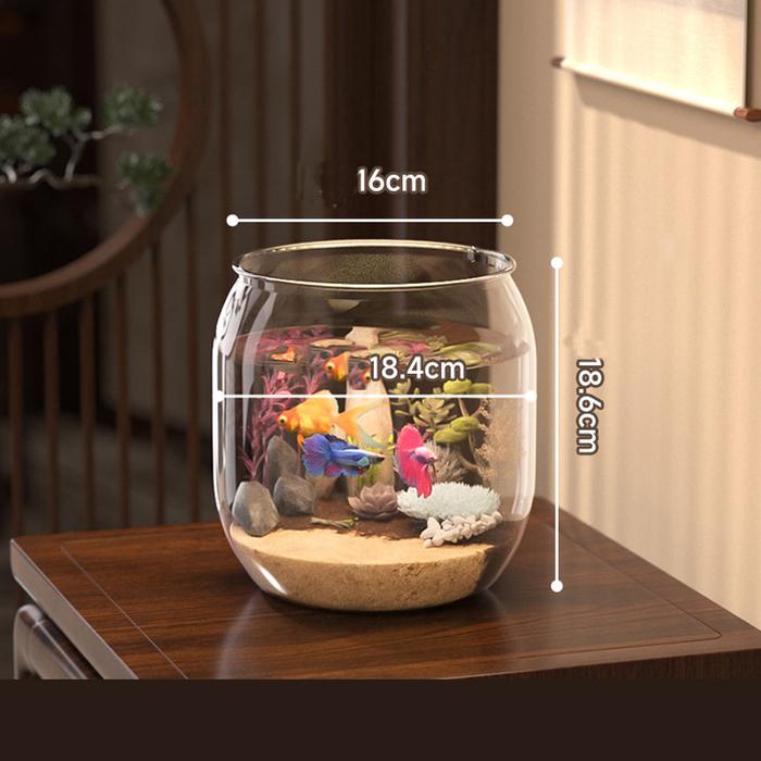 Gambar Vixplorn Aquarium Ikan Hias Aquarium Bulat Fish Bowl Wadah Tanaman Hias Hidroponik/ Toples Plastic Ikan Hias Aquarium Bulat - A-Akuarium-M dari Vixplorn Kab. Tangerang Tokopedia