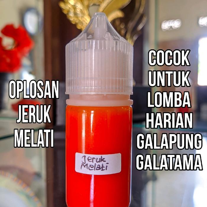 Gambar Essen ikan mas khusus lomba harian galapung - Jeruk melati, 30ml dari H2 Essential store undefined Tokopedia