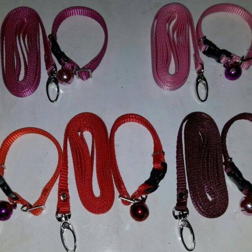 Gambar Kalung Tali Tuntun Kerincing Bel untuk Kucing, kelinci, musang, anjing small breed dari Toko Estiga undefined Tokopedia