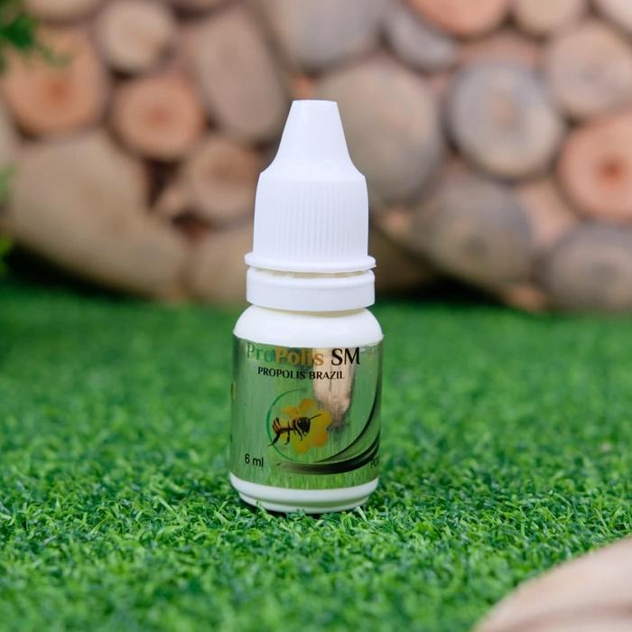 Gambar ProPolis SM Original - Obat Bibir Bengkak, Kering, Pecah2, Bibir Luka, Alergi lipstik, Bibir Perih, Sariawan, Bibir Bernanah - Propolis SM dari AlHikmah Herbal_NEW undefined Tokopedia