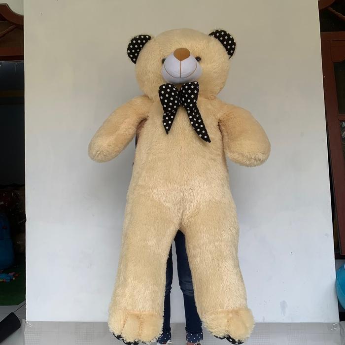 Gambar SNI BONEKA JUMBO 1,3 Meter SNI untuk kado ulang tahun anak pacar teman laki perempuan pria wanita cowok cewek Dewasa - Cream, Bear 1,3 dari Everly.id undefined Tokopedia