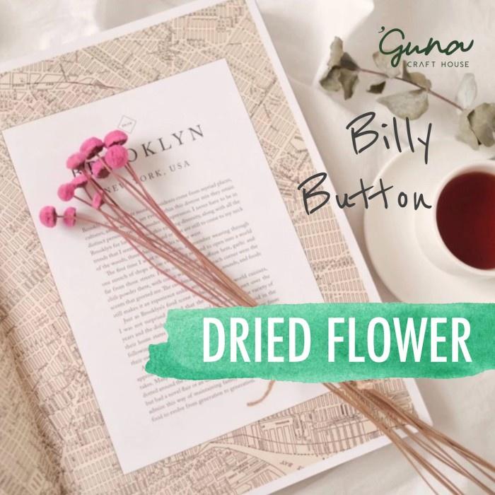 Gambar Dried Flower Bunga Kering Properti Foto Vas Bunga Estetik Home Decor Wheat Billy Button Sataria Slancur - Billy Button dari Guna Craft House undefined Tokopedia