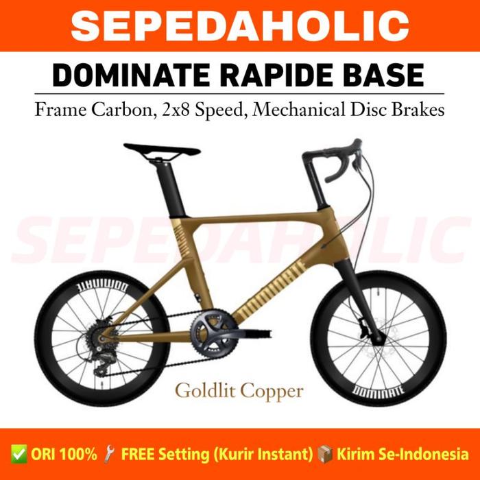 Gambar Sepeda Minivelo DOMINATE RAPIDE BASE 20 Inch Carbon 2x8 Speed - Spa Blue dari Sepedaholic undefined 5 Tokopedia