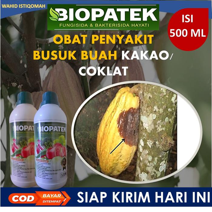 Gambar PROMO COD BIOPATEK obat BUSUK buah kakao terbaik - obat busuk buah & kuning daun kakao TERLARIS - bio patek obat semprot buah kakao TERAMPUH - BAKTERISIDA BIOPATEK mengatsi hama 100% BERKUALITAS SIAP KIRIM HARI INI - biopatek dari istiqomah assalam_NEW undefined Tokopedia