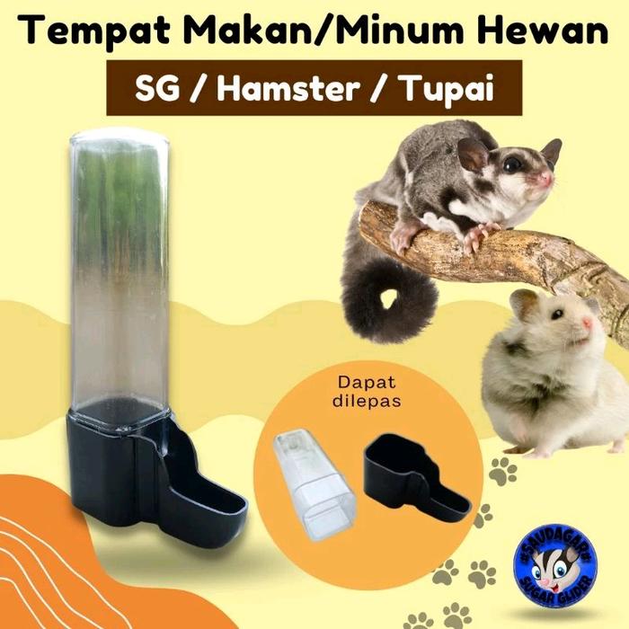 Gambar tempat minum dan makan hewan kecil Sugar Glider/burung/hamster/landak mini - Kecil dari SaudagarSG undefined 4 Tokopedia