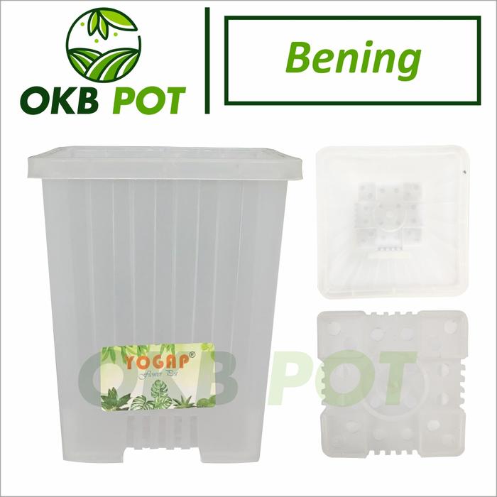 Gambar (12pcs) Pot Yogap 18 Kotak Pot Segi 4 Besar Pot Bunga Kotak Tanaman Bunga Hias - Bening dari OwnerKembangBatu undefined Tokopedia