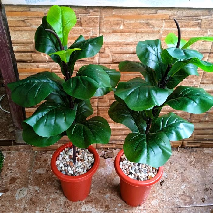 Gambar pohon ketapang palsu(sudah dengan pot) Dekorasi dari artificial pelangi undefined Tokopedia