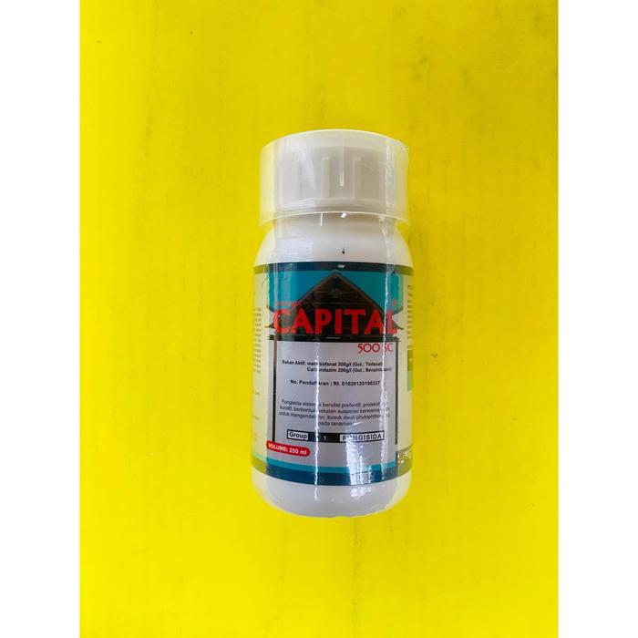 Gambar Fungisida sistemik mengendalikan busuk daun CAPITAL 500SC isi 250ml dari SANTANI AGRO dari TOKO SUKSES TANI undefined Tokopedia