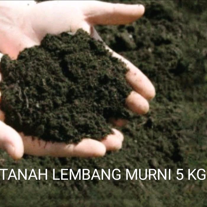 Gambar Tanah lembang 5 kg, metan tanah lembang halus, kemasan ekonomis, Media Tanam Subur dari DS TopSeller undefined Tokopedia