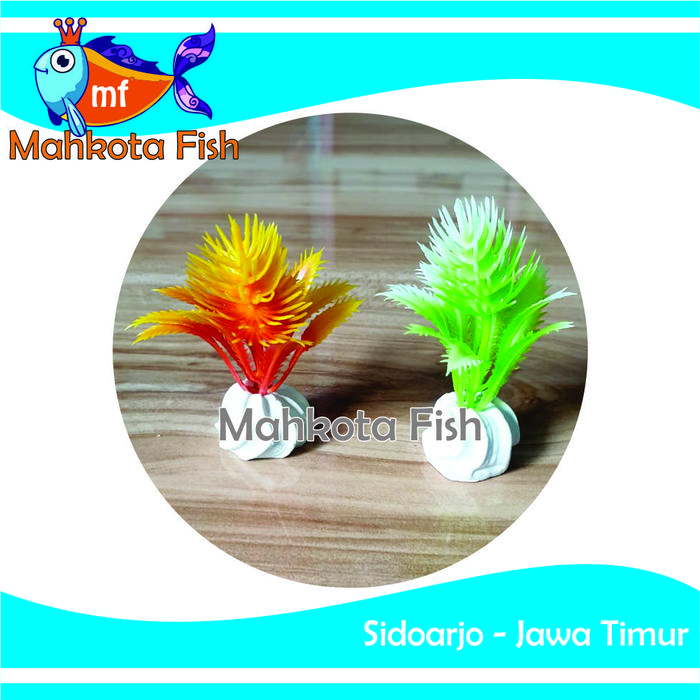 Gambar Hiasan Aquarium DURI LAUT | Bunga Plastik Aquarium | Bunga Hiasan Aquarium | Tanaman Hias Aquarium dari mahkotafish undefined Tokopedia