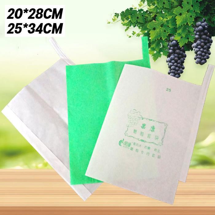 Gambar Vinnatsu-100PCS Kantong Jaring Pembungkus Buah Kantong Jaring Pembungkus Buah Anggur Klengkeng Strawberry Dll Pembungkus Kantong Jaring Pembungkus - Paper bag（20*28CM） dari Vinnatsu undefined Tokopedia