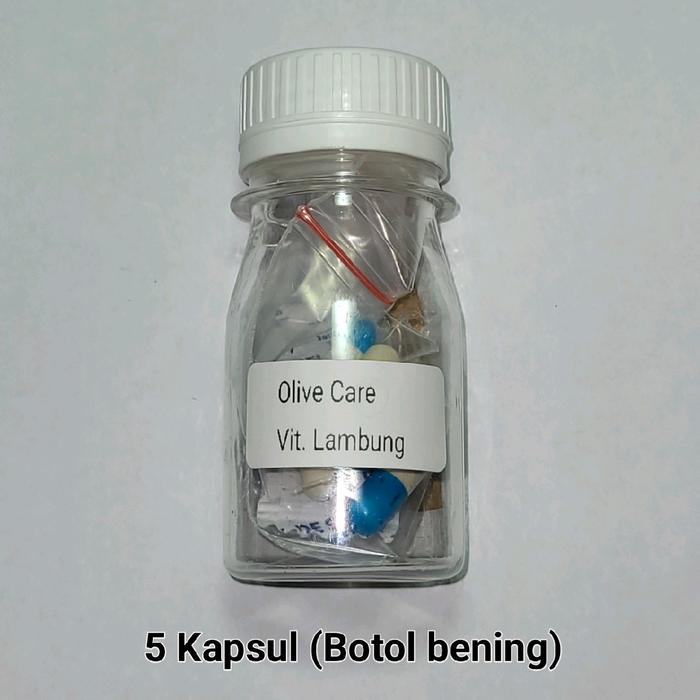 Gambar Olive Care Original Obat Vitamin Kucing Lambung Diare Mencret Sakit Perut Muntah Penyembuh Diare Kucing - 5 Kapsul dari Olive Care Shop undefined Tokopedia