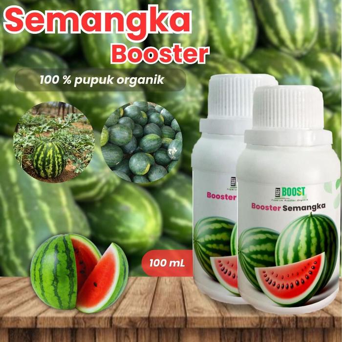 Gambar Pupuk Organik Cair Tanaman Semangka 100ml Booster Organik Memacu Bunga dan pembushsn untuk hasil panen maksimal Alami dari Pandan Laris undefined Tokopedia