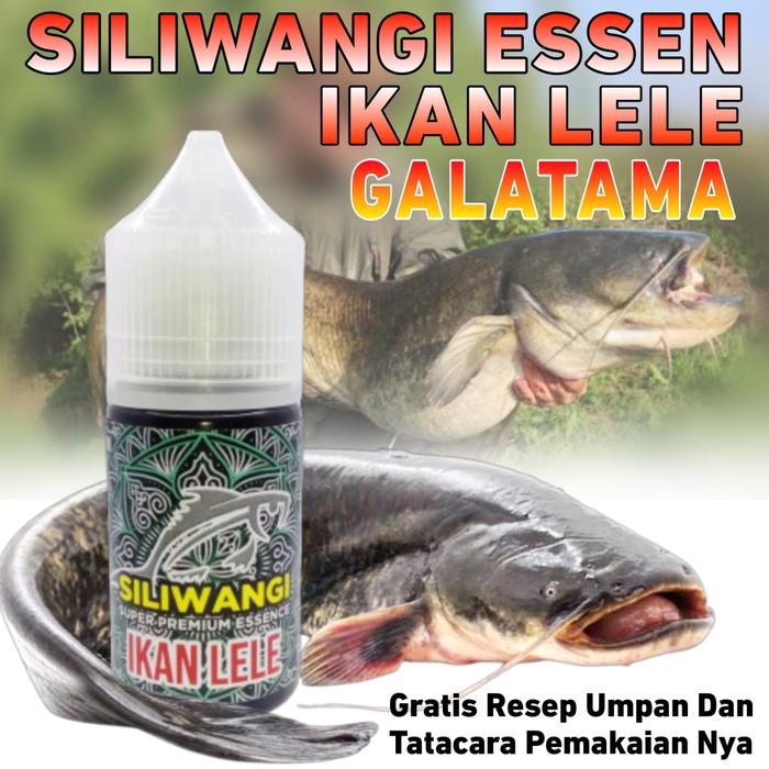 Gambar Essen Galatama Harian Ikan Lele Paling Gacor Segala Umpan, Essen Siliwangi Khusus Ikan Lele Harian Target Total dari RAJA PODIUM undefined Tokopedia