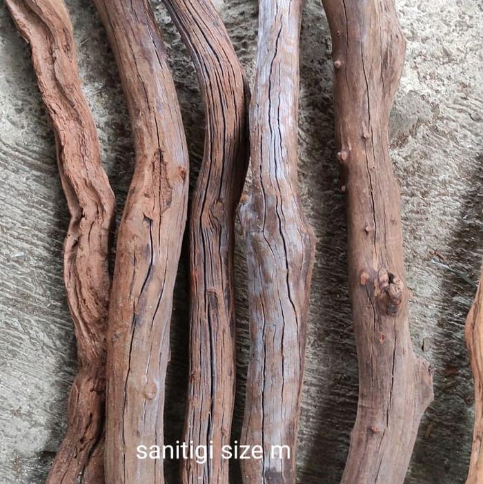 Gambar aquarium aquascape kayu santigi gunung Dekorasi - size m dari Max Gallery Aquascape undefined Tokopedia