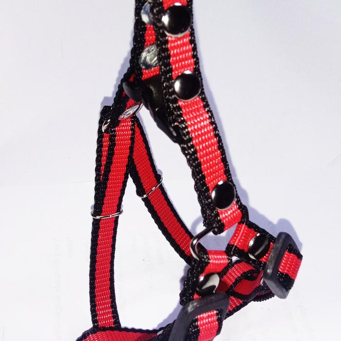 Gambar Harness Kucing Musang Kelinci Reptil Satu Set Tali dan Harnes Untuk Jalan - MERAH dari KurniaPet ACC undefined Tokopedia