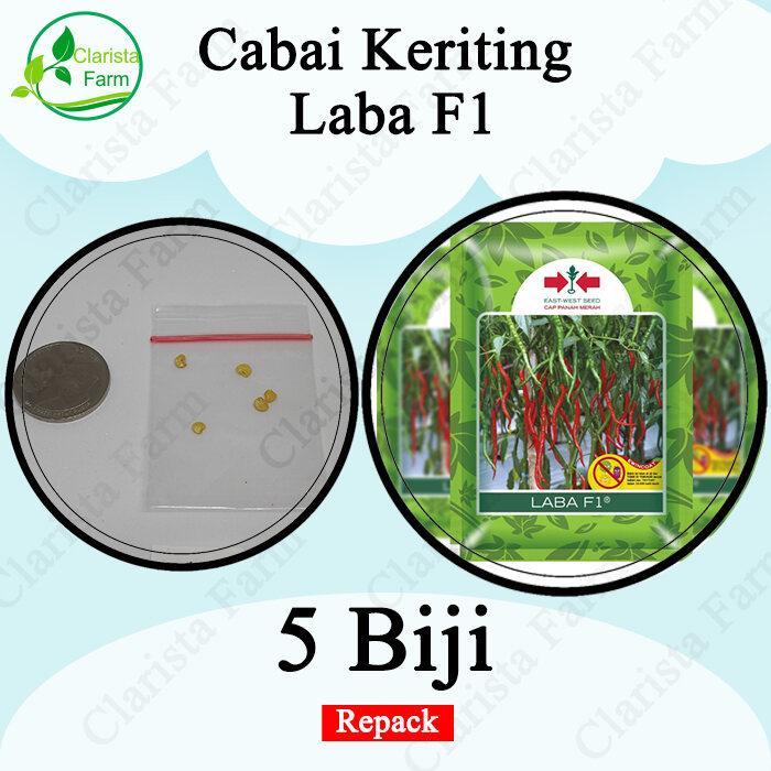 Gambar 5 BENIH BIBIT CABAI CABE KERITING LABA F1 REPACK CAP PANAH MERAH SANG PERINTIS 22 dari SANG PERINTIS 22 undefined Tokopedia