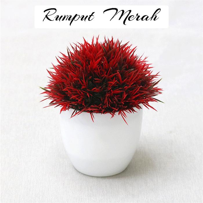 Gambar (COD) Pot Tanaman Pohon Bonsai Vas Bunga Hias Plastik Perlengkapan Home Decor Hiasan Dekorasi Meja Makan Ruang Tamu Kamar Aesthetic Perabotan Interior Rumah Tangga Murah Model Aneka Rumput Warna - Rumput Merah dari Konveksi Klaten undefined Tokopedia
