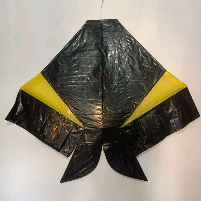 Gambar Layang Layang Cotek Belolong terlaris semi knockdown - werah, 100-+(60cm) dari Khalisa aquatic_NEW undefined 4 Tokopedia