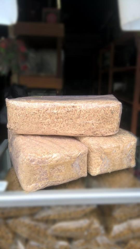 Gambar Serbuk Kayu Jati Belanda dari Nyayu Guppy Farm undefined Tokopedia
