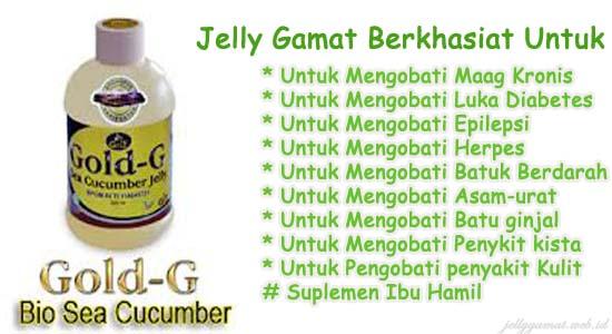 Jual Khasiat Jelly G Amat Gold G Cara Minum Jelly Gamat Gold G Kota Tasikmalaya Oneherbalstore 