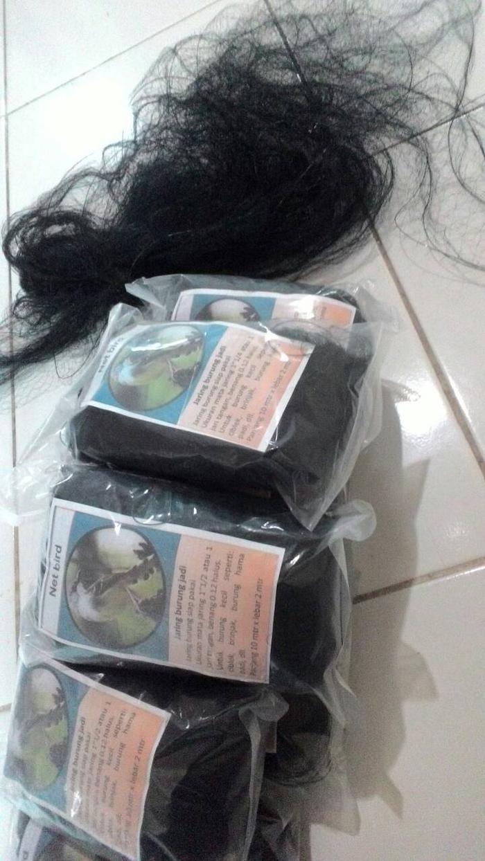 740 Gambar Burung Net Net Gratis Terbaru