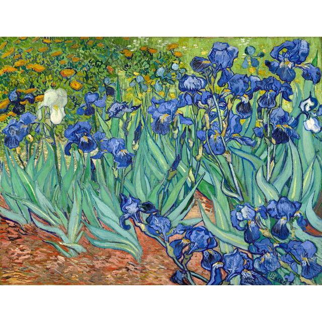 Jual Irises Karya Vincent Van Gogh 1889 Kota Batu Jiekley Fine Art Tokopedia
