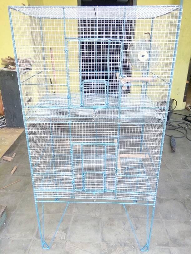 Jual Kandang Kelinci 2 Tingkat Jakarta Selatan Jual Kandang Burung Com Tokopedia