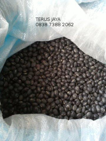 Gambar Kacang Hitam Kacang Kedelai Hitam - 500g dari Goh Surono Online Shop undefined Tokopedia