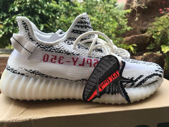 Pk store god zebra