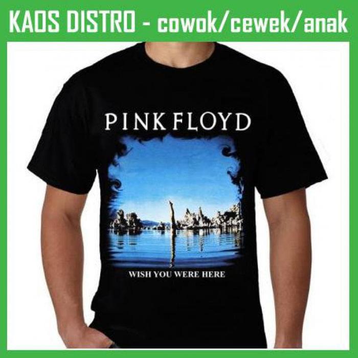 pink floyd wish you were here tee shirt