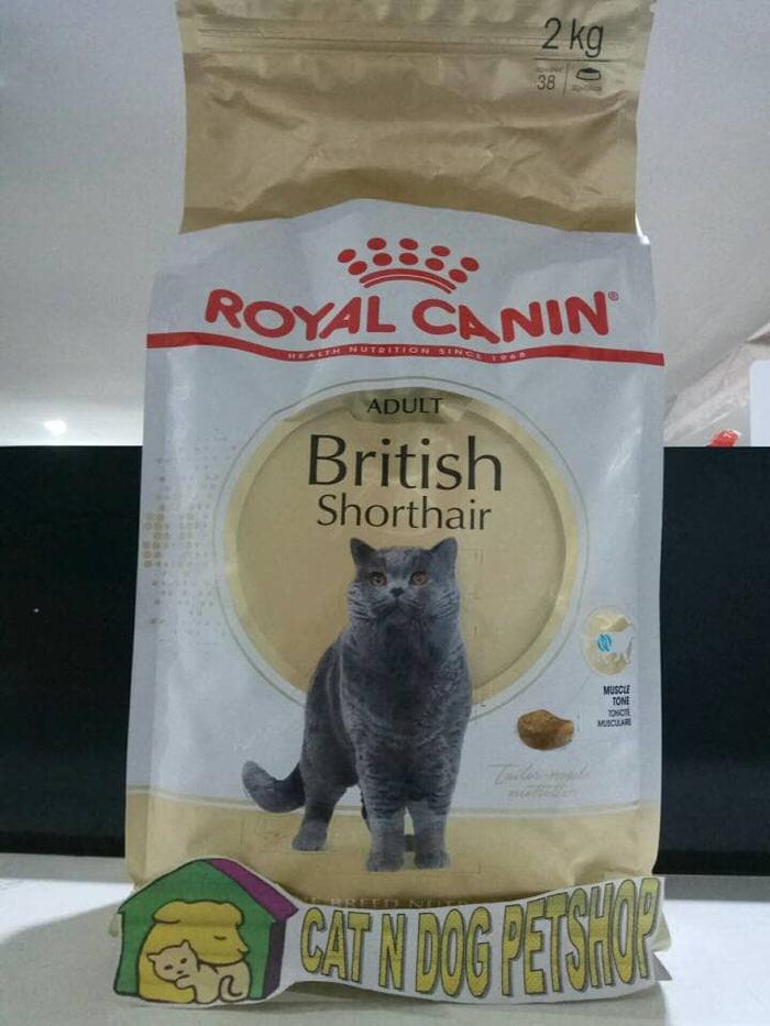 Royal Canin British Shorthair Cat Adult 2kg Makanan Kucing British di  Catdog Petshop Tokopedia