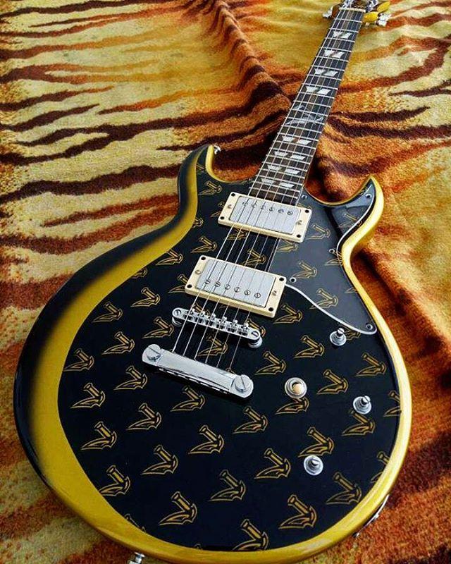 zacky vengeance gold guitar